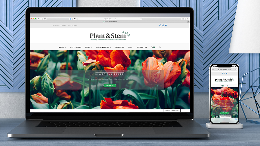 Plant & Stem Website